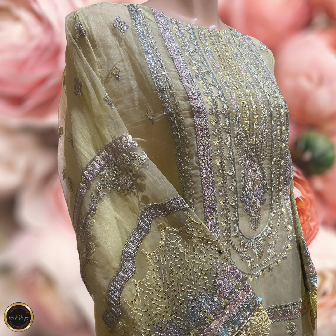 Glamorous and Elegant Pakistani Suit.